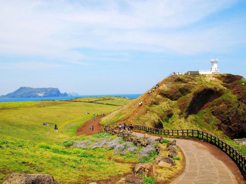 未来看好：济州岛地价暴涨，韩国房产大有可为
